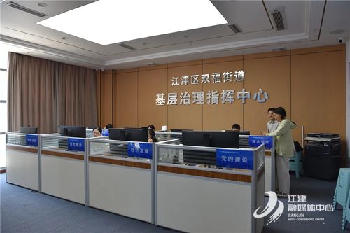 重慶江津區(qū)人民政府信息技術咨詢服務 驅動數(shù)字化轉型與區(qū)域發(fā)展